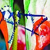 מעל לפני השטח | דניאלה פז-אורה